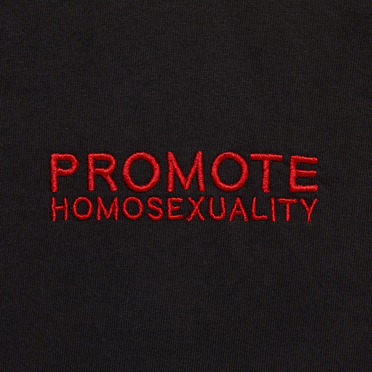 PROMOTE HOMOSEXUALITY EMBROIDERED LONG-SLEEVE T-SHIRT IN BLACK/RED